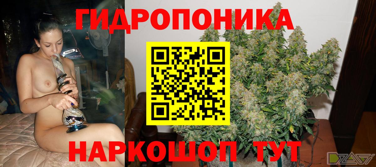 Бошки Шишки Ganja  Марихуана тримм  Вход с VPN  МАРИХУАНА план  Белореченск 